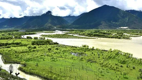 青藏高原生态大数据中心项目正式获批立项