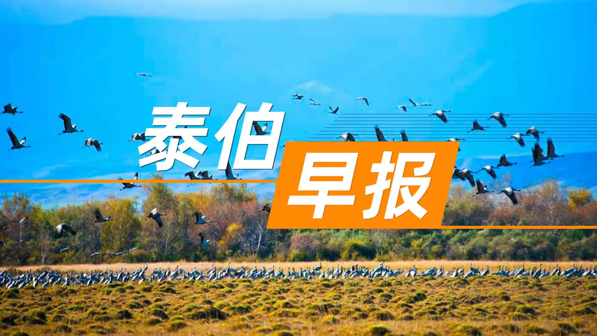泰伯早报 | 12月25日：2025年建立“天空地”自然生态监测监管网络；北京亦庄星箭网络产业联盟成立；传华为和大众就自动驾驶业务合作