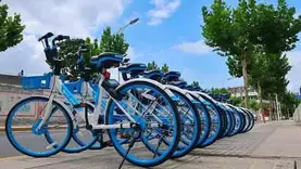 北京将把美团、哈啰和青桔等共享单车企业纳入信用监管体系