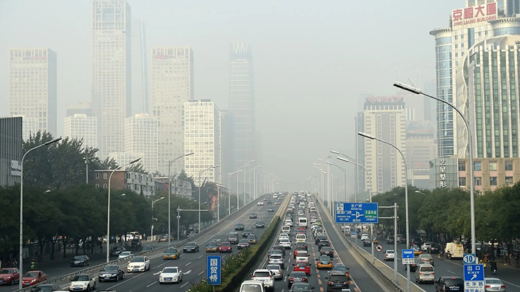 北京市生态环境监测中心生态及遥感监测运维项目公开招标