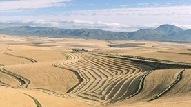 新疆土地资源开发利用“十四五”规划