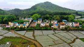 广西为1500个行政村编制“一村一图” 为乡村振兴提供地理信息支撑
