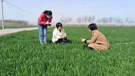 保卫粮食安全：中国首次应用卫星遥感监测夏粮，空间分辨率达30米
