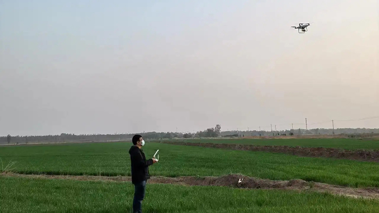 武汉区域气候中心：组织开展农作物遥感监测地面验证工作