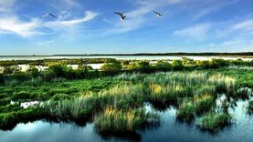 我国首部湿地保护法今天施行 引领湿地保护全面进入法治化轨道