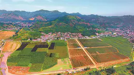 217万，河北省第三次土壤普查试点项目01包、02包、03包招标