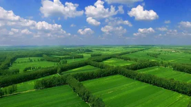 1399万，上海市土壤污染防治综合监管平台开发项目公开招标