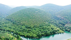 广西对自然资源所有权开展登记 包括9个国有林场和6个森林公园