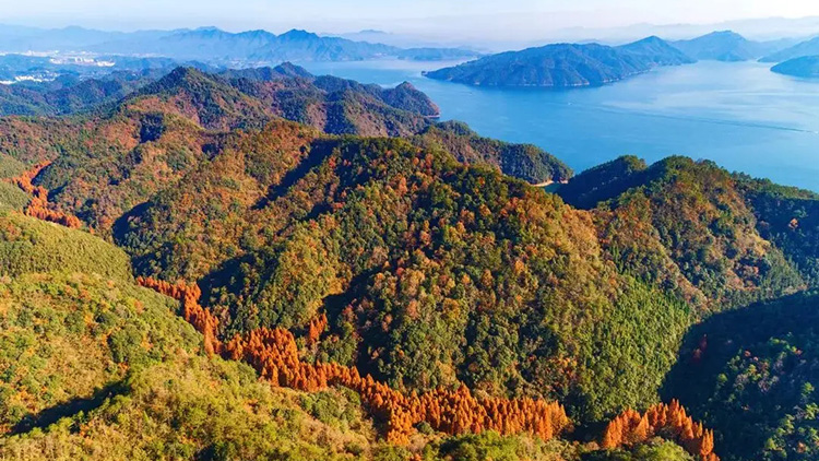 浙江省靜止衛(wèi)星林火監(jiān)測系統(tǒng)完成驗收并正式上線運行