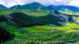 祁连山国家公园青海片区生态监测体系架构已基本形成