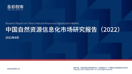 中国自然资源信息化市场研究报告（2022）