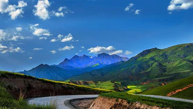 祁连山国家公园自然资源数据库建立