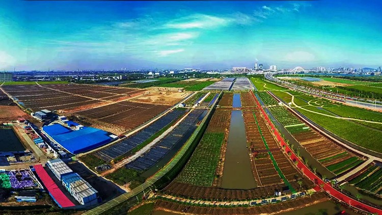 国家植物航天育种工程技术研究中心落户广州南沙