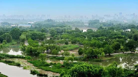 国家登记机构开展南京上秦淮省级湿地公园自然资源所有权首次登记