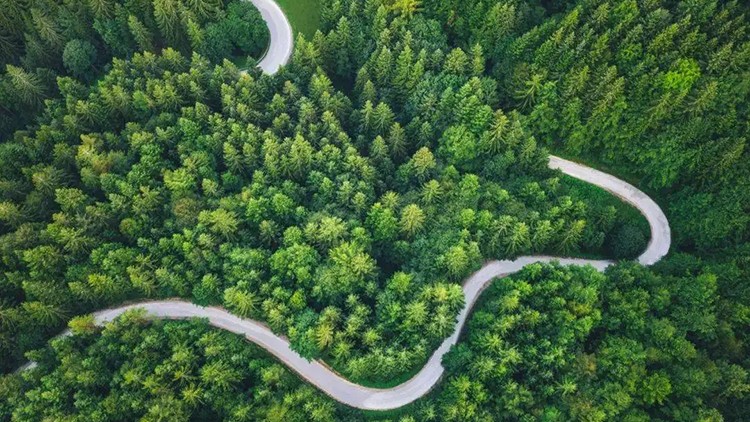 山西省首单森林碳汇遥感指数保险落地