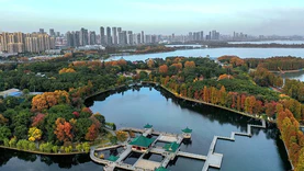 970.2万，武汉东湖新技术开发区城市信息模型（CIM）建设（一期）项目公开招标