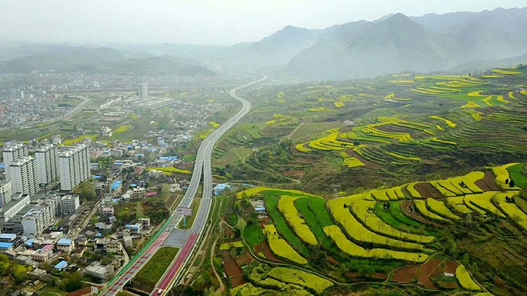 800万，甘肃成县县域内部分村庄规划编制项目及地形图测绘服务采购项目公开招标