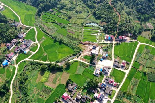 1457万元，河南省财政厅利用遥感技术开展农业保险评价服务项目公开招标