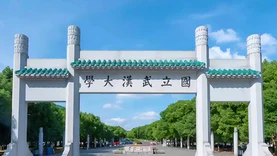 1000万，武汉大学地理信息平台采购项目公开招标
