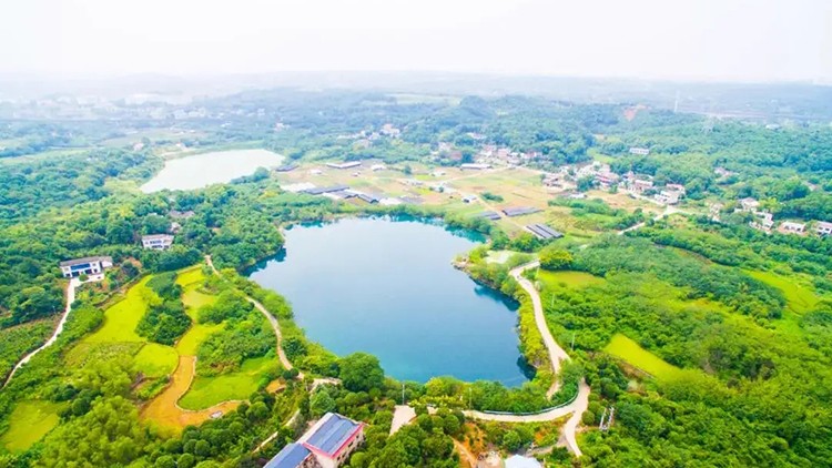 476万，湖南省第一测绘院中标湖南省绿心区域实景三维及综合监测项目