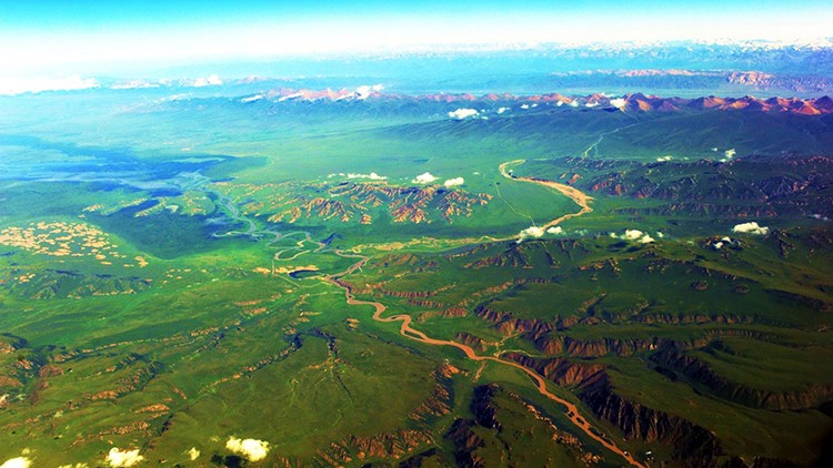 新疆维吾尔自治区国土空间规划“一张图”实施监督信息系统项目顺利通过验收