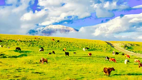 新疆成立干旱区草地生态系统遥感监测实验室