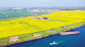 390万，河南商水县中心城区1:1000地形图测绘、实景三维模型项目公开招标