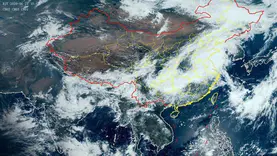 陈振林会见欧洲气象卫星开发组织主任菲利普·埃文斯 更新签署气象卫星资料应用交换分发合作协议