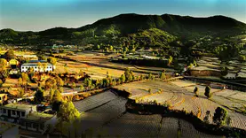 217万，山西省蒲县县城1:500地形图测绘、实景三维建模项目竞争性磋商
