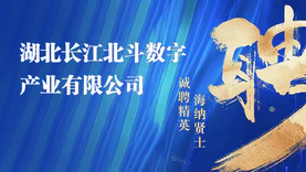 湖北长江北斗数字产业有限公司关于面向社会公开选聘公司经理层成员的公告