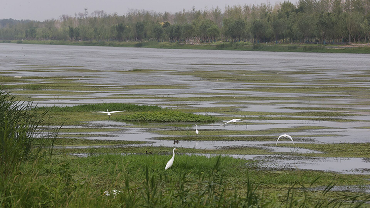 河南省对27个自然保护地开展确权登记