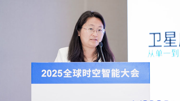 WGDC2025 | 顧海燕：實現(xiàn)智能解譯是遙感領(lǐng)域長期奮斗的目標，急需解決工程化應(yīng)用面臨的難點痛點