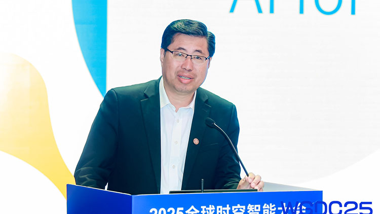 WGDC2025 | Yangdian Pavilion: L4-L5 must be equipped with high-precision maps, L1-L3 high auxiliary and high-precision maps are not necessary