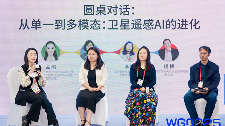 WGDC2025 | 专家共议卫星遥感AI进化：多模态融合破解行业应用瓶颈