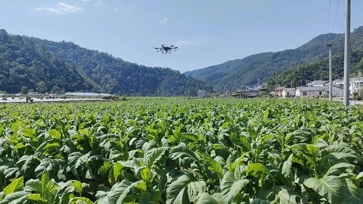 Several Measures to Support the Healthy Development of Low altitude Economy in Yunnan Province 