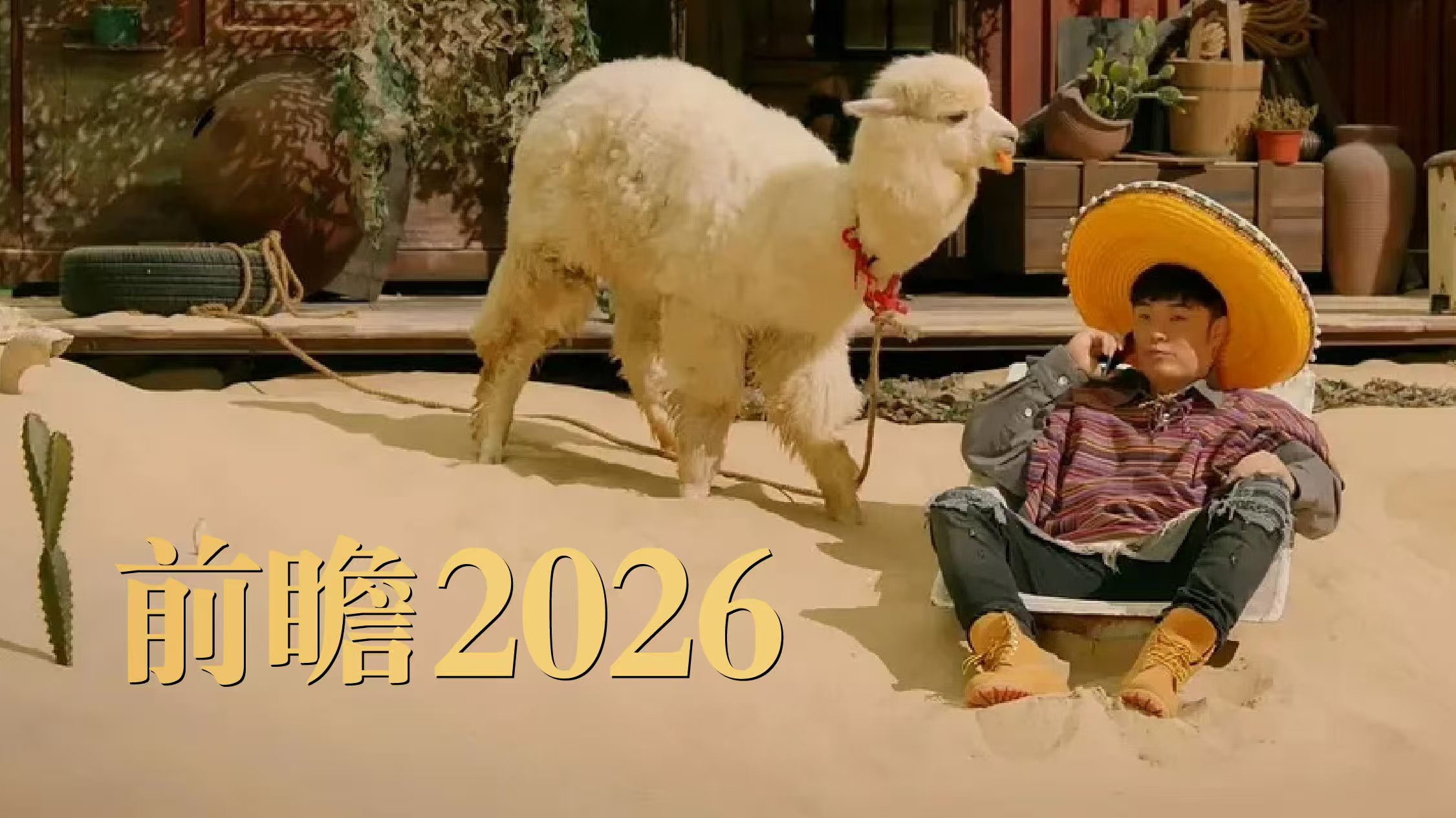 对话：让卫星数据不再沉默，解构Palantir“AI Agent视角”| 前瞻2026