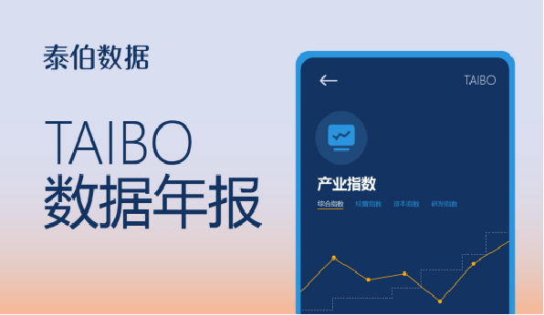 2026上半年中国商业航天发射总结｜TAIBO数据年报